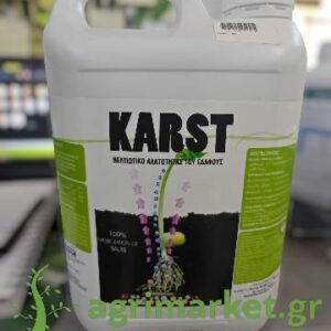 03095 AMALGEROL Premium 1LT