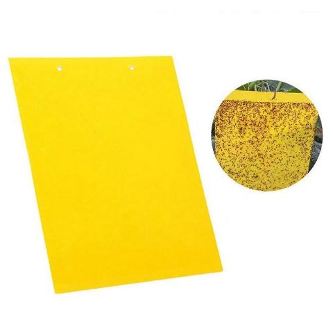 ΠΑΓΙΔΕΣ PANELS 40*25